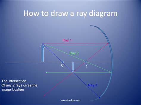 ray diagrams  convex mirrors