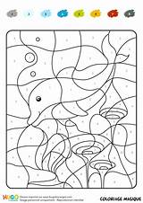 Coloriage Magique Ce1 Dauphin Hugo Animaux Enfant Maternelle Calcul Coloriages Vacances Hugolescargot Colorier Escargot Ccm2 Enregistrée sketch template