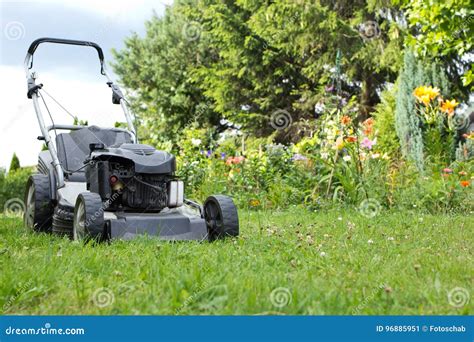lawn mower   garden stock image image  background