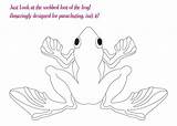 Frog Coloring Pages Flying Printouts Pdf Open Print  sketch template