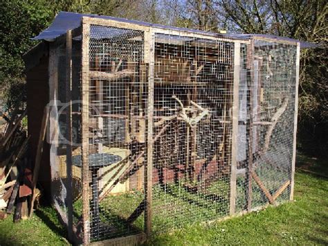 outdoor aviary    reptile forums