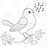 Singing Bird Coloring Songbird Notes Pages Stock Clipart Waiting Colored Vector Morning Designlooter Illustration Cute Branch Dreamstime Drawings 04kb 1024px sketch template
