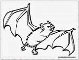 Nocturnal Bat sketch template