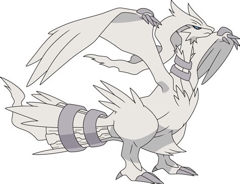 reshiram sonic pokémon wiki fandom powered by wikia