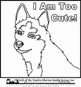Husky Coloring Pages Dog Dogs Colouring Puppy Printable Color Cute Realistic Kids Alaskan Drawing Malamute Siberian Sheets Huskies Printables Drawings sketch template