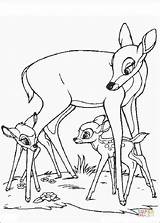 Bambi Ausmalbilder Feline Faline Ausmalbild Biche sketch template