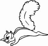 Squirrel Flying Coloring Cartoon Drawing Pages Color Kids Jumping Getdrawings Clip Getcolorings Pilih Papan Squirrels sketch template