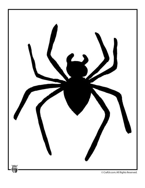 spider template printable submited images