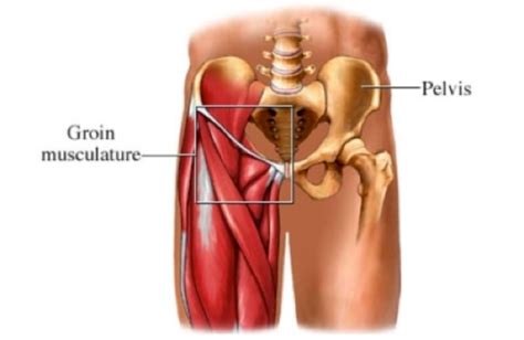 groin strains treatment singapore sports clinic fast healing