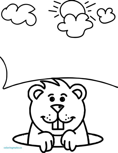 groundhog coloring page  getcoloringscom  printable colorings