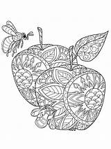 Coloring Pages Apple Zentangle Adult Adults Bright Teens Colors Favorite Choose Color sketch template
