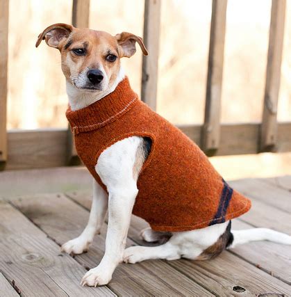 designs dog sweater patterns  sewing gyllagurvina