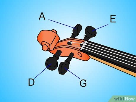 identify  parts   violin  steps  pictures
