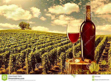 glass and bottle of red wine against vineyard landscape