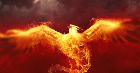mythical fiery bird phoenix  mythologies   ancient cultures