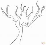 Tree Coloring Dead Bare Template Pages Silhouette Trees 1400 44kb sketch template