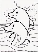 Dolphin Diwarnai Kumpulan Dolphins sketch template