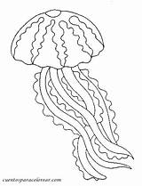 Meduse Jellyfish Colorat Meduze Medusas Méduse Animale Planse Medusa Meduza Mythologie Desene Colorier Divierten Juegan Aprenden Realistic Cartoni Cartonidacolorare Stampa sketch template