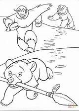 Coloring Pages Bear Brother Inuit Steals Spear Weapon Eskimo Getcolorings Drawing sketch template
