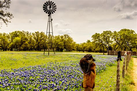 texas spring stock photo  image  istock