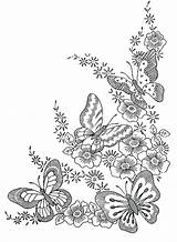 Coloring Pages Border Flower Getcolorings Botany sketch template
