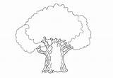 Coloring Pages Oak Tree Nature Pear Landscape Winter sketch template