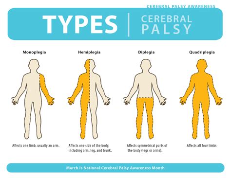 cerebral palsy  disease spastic diplegia diplegic infantile cerebral palsy monoplegic
