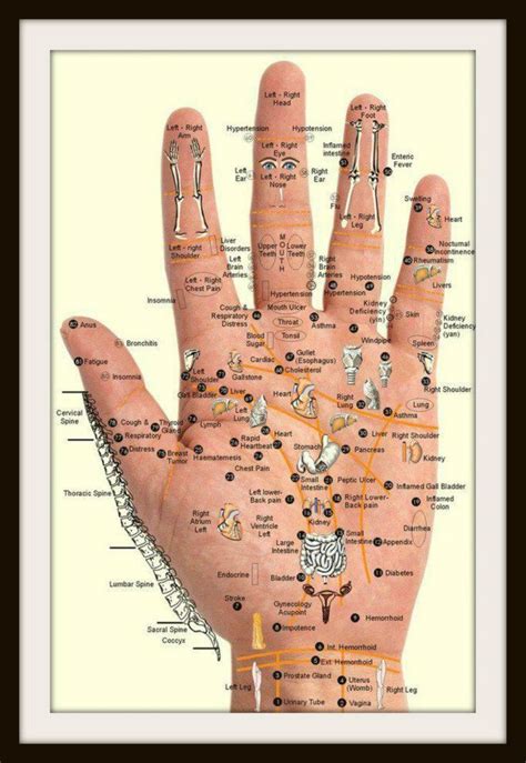 palm reading images  pinterest palm reading palmistry