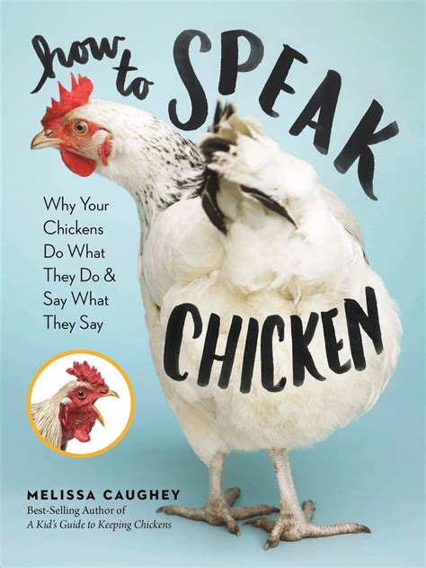 how to speak chicken tilly s nest