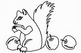 Squirrel Eating sketch template