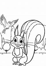 Squirrel Sofias sketch template