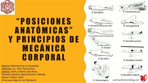 posiciones anatomicas  principios de mecanica corporal youtube