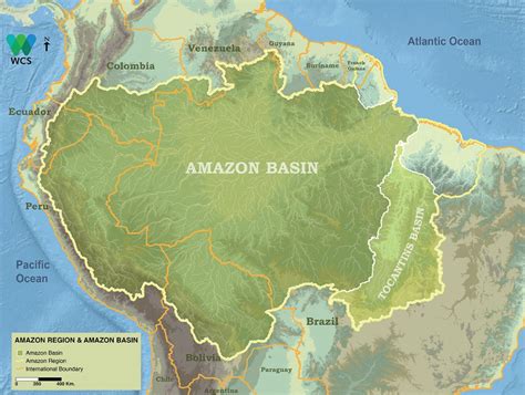 Amazon Basin World’s Largest Rainforest In All Of History