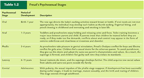 Flashcards The Developing Person Through The Life Span