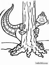 Behind Coloring Hiding Tree Dinosaur Pages Animals Prehistoric Color Print Kleurplaat Prepositions Animal Drawings Dino Cartoon Printable 22kb Where sketch template