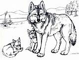 Coloring Pages Wolf Kids Wolves Printable Bestcoloringpagesforkids sketch template