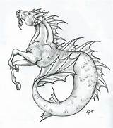 Hippocampus Creatures Mythical Greek Mythological Creaturi Allmystery sketch template