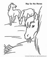 Pferd Ausmalbilder Coloringhome sketch template