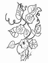 Campanula Bell Flower Coloring Pages Bellflower Printable Supercoloring Categories Color Chinese sketch template