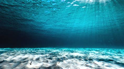 clear concept underwater ocean floor perspectives shutterstock  singularity hub