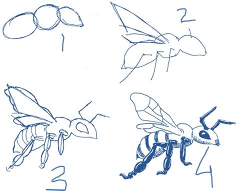 menggambar lebah  mudah pelajaran menggambar