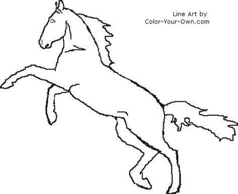 rearing horse coloring pages  horse coloring pages youll