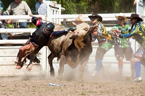 bullfighters  rodeo clown antics  cowboy guardians agdaily