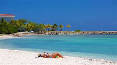 aruba vacation packages  save      deals expediaca