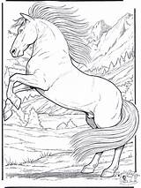 Cavalos Pintar sketch template