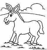 Esel Donkey Ane Anderen Benutzen Ordnung Webbrowser Genügt Einen sketch template