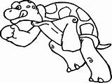 Tortoise Turtle Fight Coloring Wecoloringpage Spread sketch template