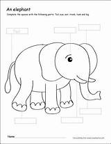 Elephant Parts Color Grade Activities First Cleverlearner Worksheets Preschool Coloring Writing Colour Kindergarten Printable Sheet Label Animals Kids Sheets Elephants sketch template