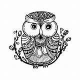 Illustration Zentangle Style Owl Fill Adult Coloring Book Isolated sketch template