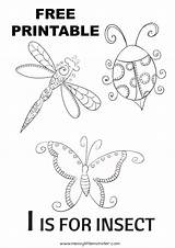 Insects Bugs Template sketch template